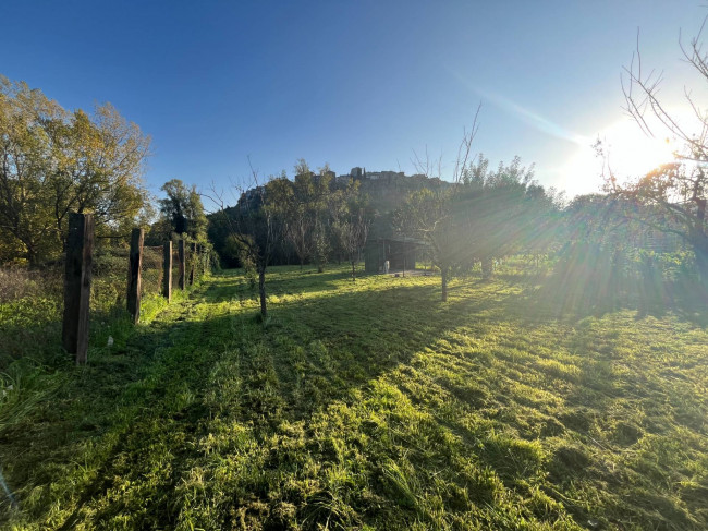 Terreno Agricolo in vendita a Orte