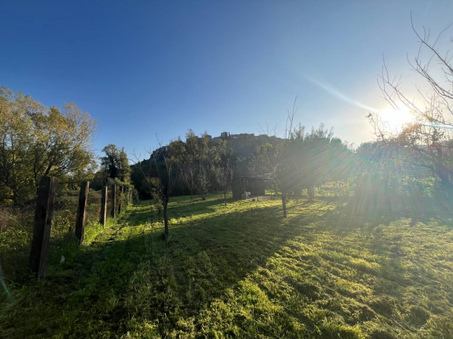 Terreno Agricolo in vendita a Orte