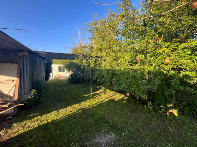 Terreno Agricolo in vendita a Orte