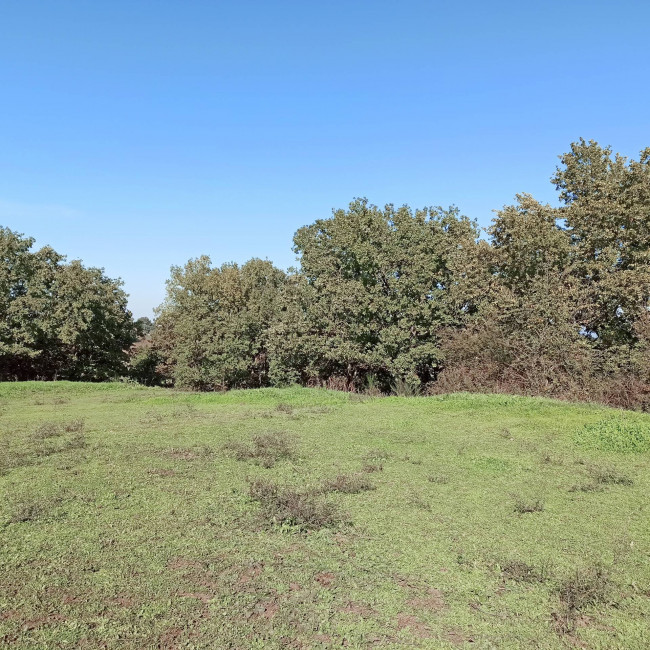 Casa singola in vendita a Soriano nel Cimino