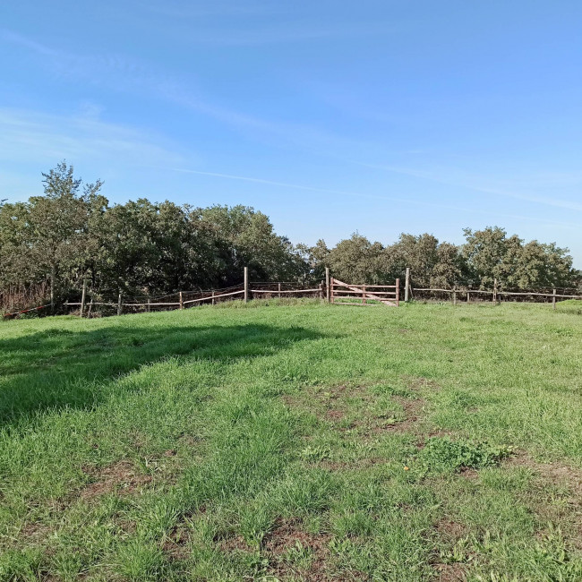 Casa singola in vendita a Soriano nel Cimino