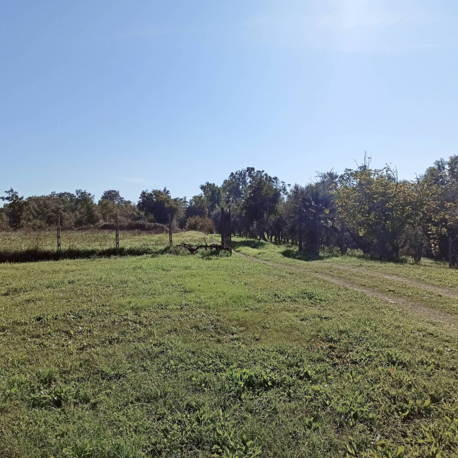Casa singola in vendita a Soriano nel Cimino