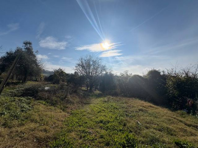 Villetta Bifamiliare in vendita a Narni