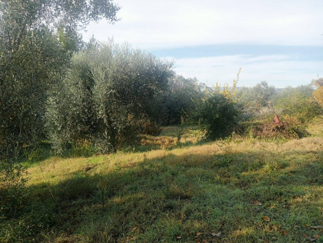 Villetta Bifamiliare in vendita a Narni