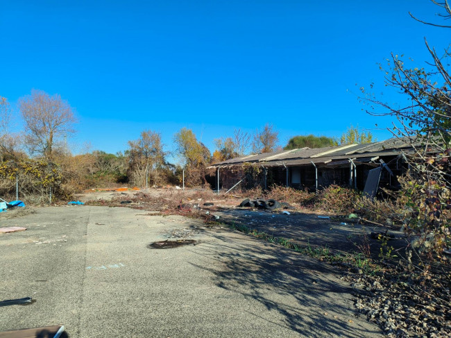 Altro in vendita a Vignanello