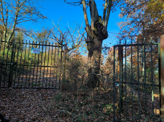 Altro in vendita a Vignanello