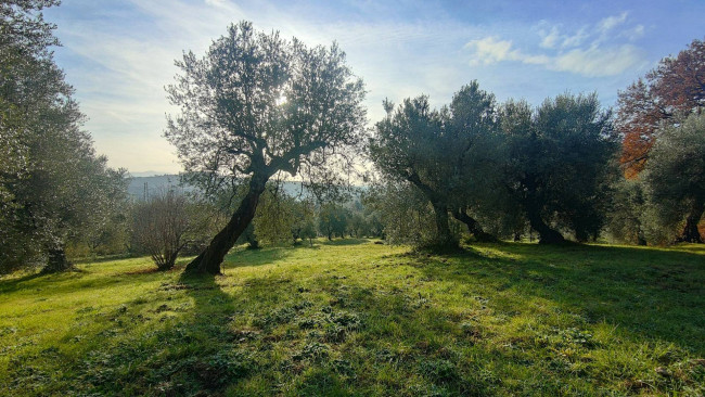 Casale in vendita a Amelia