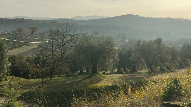 Casale in vendita a Amelia