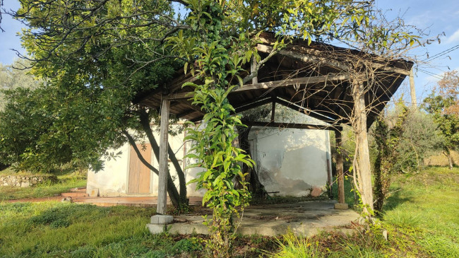 Casale in vendita a Amelia