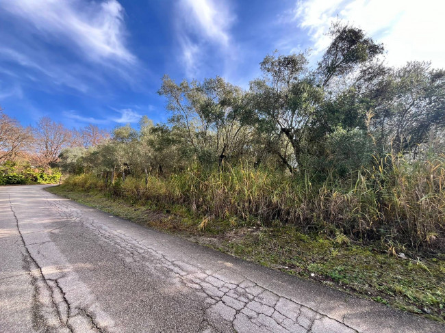 Terreno edificabile in vendita a Orte