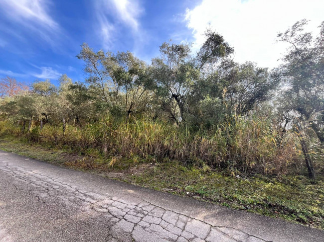 Terreno edificabile in vendita a Orte