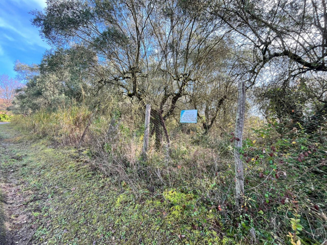 Terreno edificabile in vendita a Orte