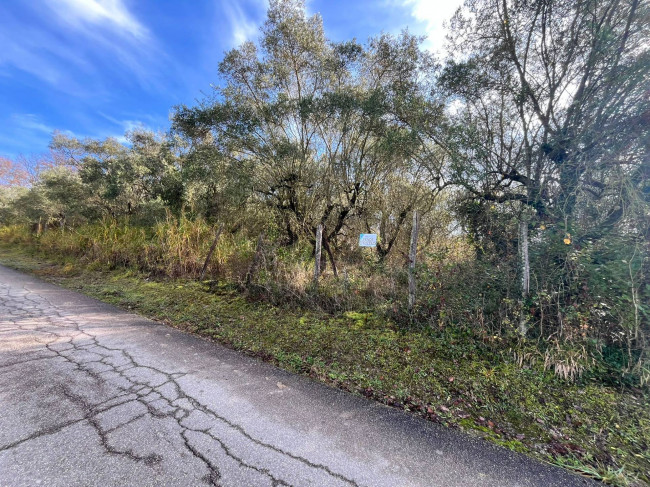 Terreno edificabile in vendita a Orte