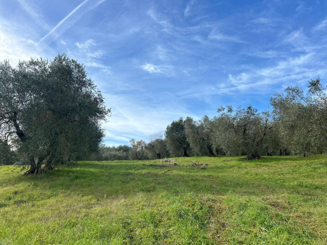 Casa singola in vendita a Graffignano