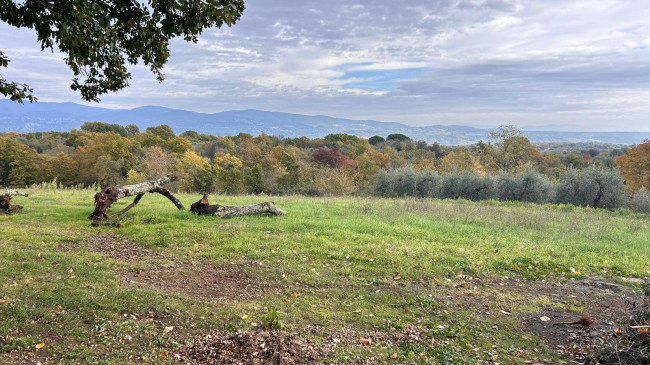 Casa singola in vendita a Graffignano