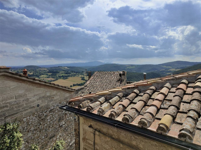 Cielo Terra in vendita a Amelia