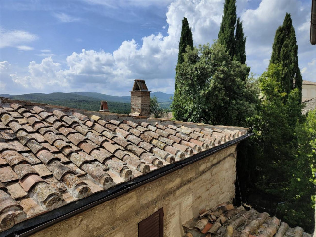 Cielo Terra in vendita a Amelia