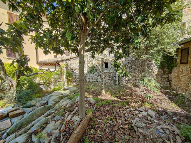 Cielo Terra in vendita a Amelia