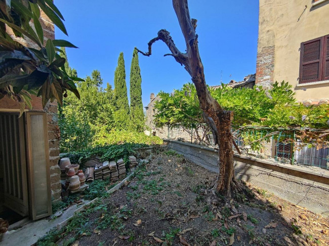 Cielo Terra in vendita a Amelia