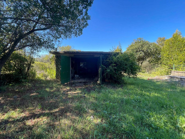 Appartamento in vendita a Vasanello