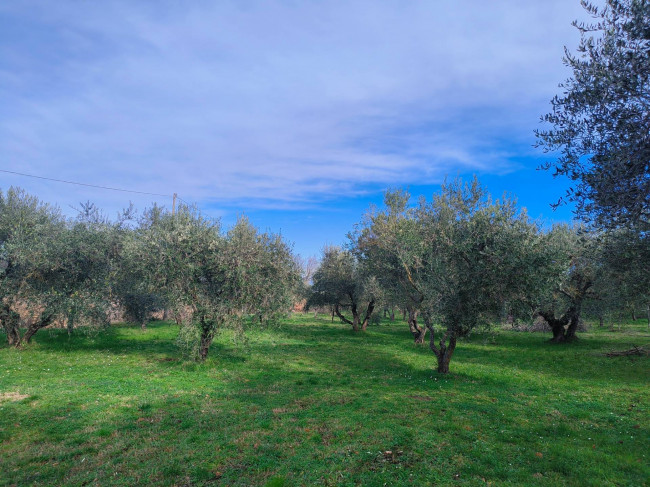 Terreno Agricolo in vendita a Soriano nel Cimino