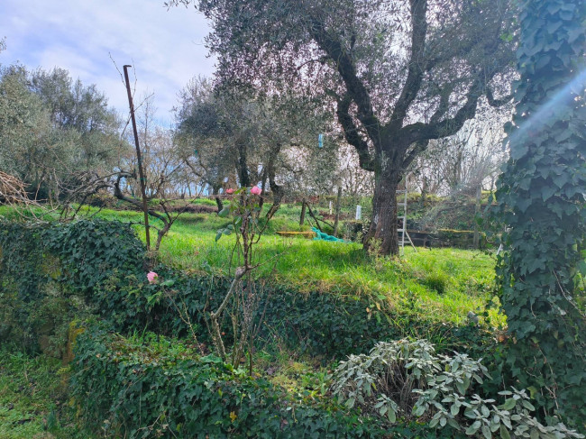 Terreno Agricolo in vendita a Soriano nel Cimino