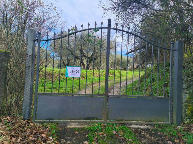 Terreno Agricolo in vendita a Soriano nel Cimino