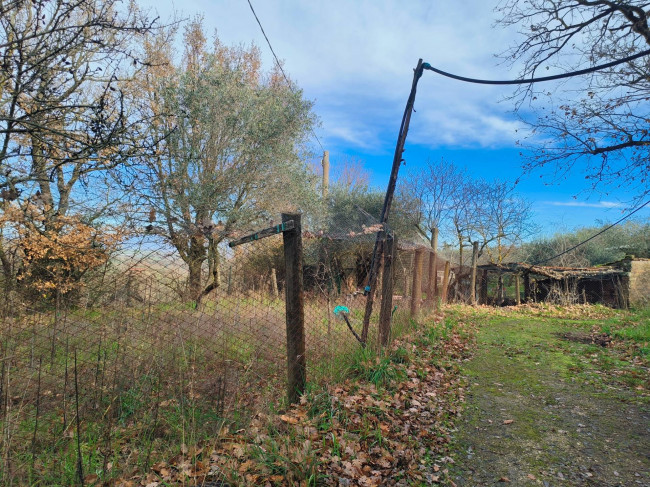 Terreno Agricolo in vendita a Soriano nel Cimino