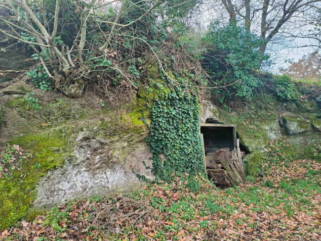 Terreno Agricolo in vendita a Soriano nel Cimino