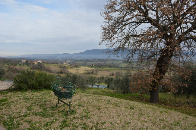 Villa in vendita a Narni