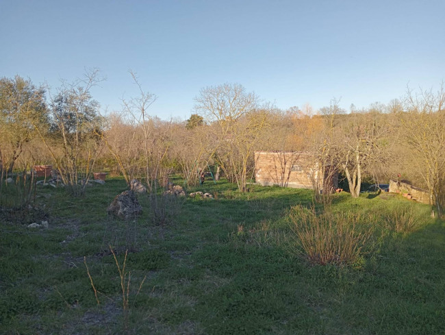 Terreno Agricolo in vendita a Vasanello