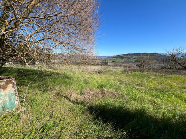 Terreno Agricolo in vendita a Orte