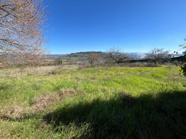 Terreno Agricolo in vendita a Orte