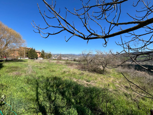 Terreno Agricolo in vendita a Orte