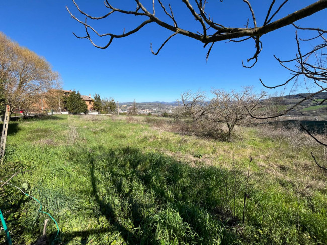 Terreno Agricolo in vendita a Orte