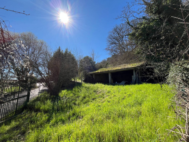 Terreno Agricolo in vendita a Orte
