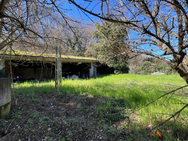 Terreno Agricolo in vendita a Orte