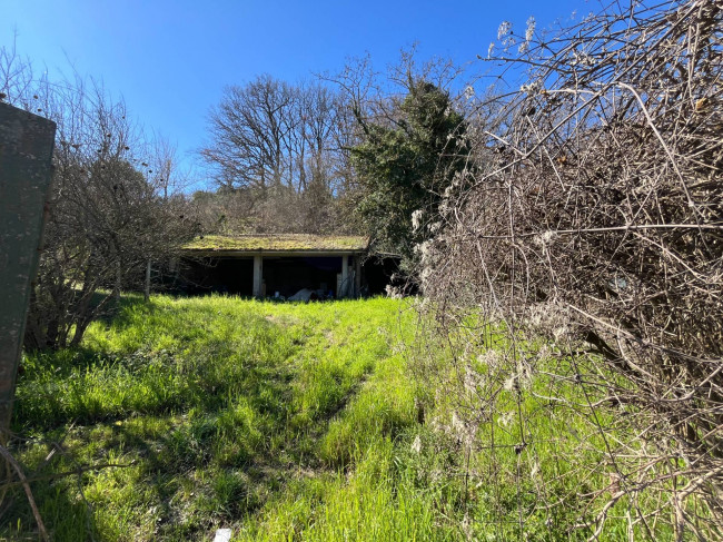 Terreno Agricolo in vendita a Orte