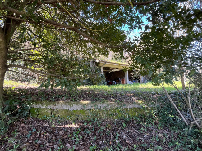Terreno Agricolo in vendita a Orte
