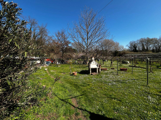 Terreno Agricolo in vendita a Orte