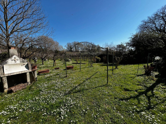 Terreno Agricolo in vendita a Orte