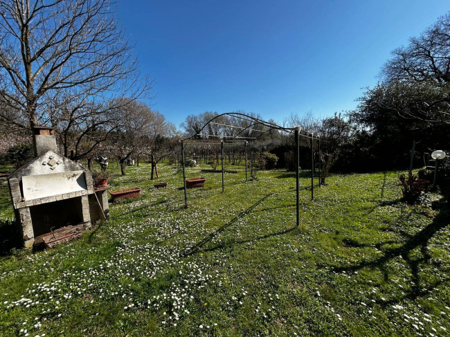 Terreno Agricolo in vendita a Orte
