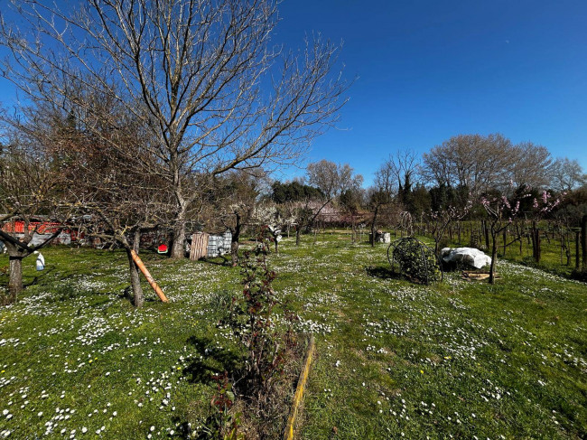 Terreno Agricolo in vendita a Orte