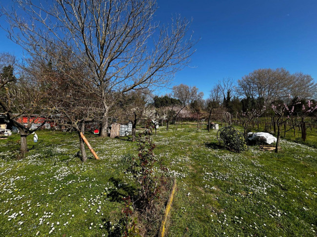 Terreno Agricolo in vendita a Orte