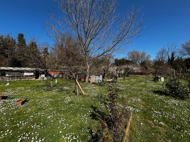Terreno Agricolo in vendita a Orte