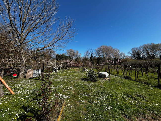 Terreno Agricolo in vendita a Orte