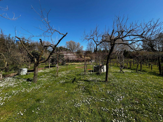 Terreno Agricolo in vendita a Orte