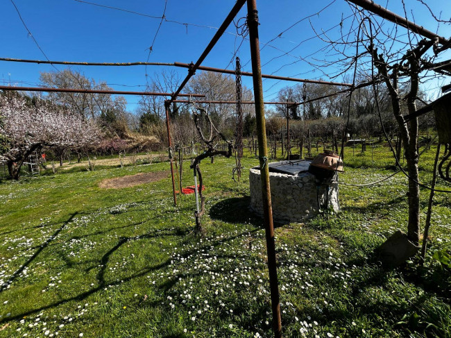 Terreno Agricolo in vendita a Orte