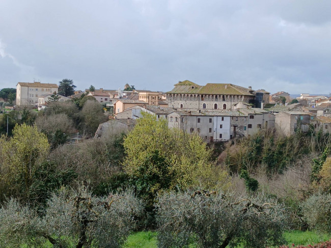Cielo Terra in vendita a Graffignano