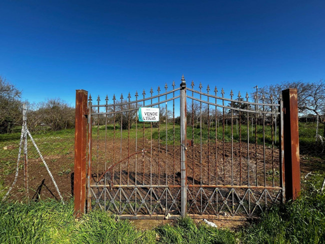 Terreno Agricolo in vendita a Bassano in Teverina
